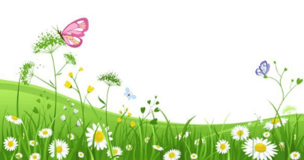 clipart:-ytl2dttkty= flowers