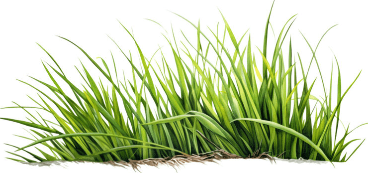 clipart:254b5v0-neu= grass